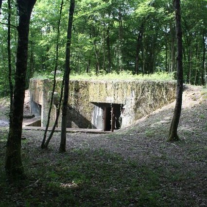 Ligne_Maginot_dans_les_bois_de_Cattenom_GF_ IMG_8264