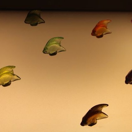 FPC2016 sortie Petite Pierre GF IMG 7716