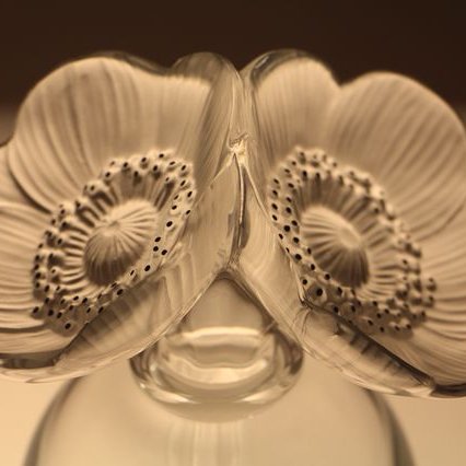 FPC2016 sortie Petite Pierre GF IMG 7721