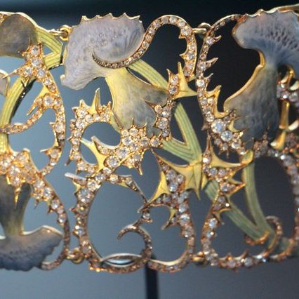 FPC2016 sortie Petite Pierre GF IMG 7672