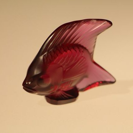 FPC2016 sortie Petite Pierre GF IMG 7717