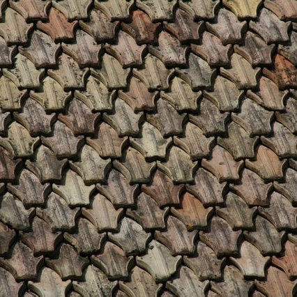 ChÃ¢teau de Montbras - toit des annexes (dÃ©tail)