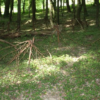 Ligne_Maginot_dans_les_bois_de_Cattenom_GF_ IMG_8262