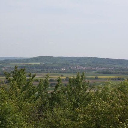 Ligne_Maginot_dans_les_bois_de_Cattenom_GF_ IMG_8258